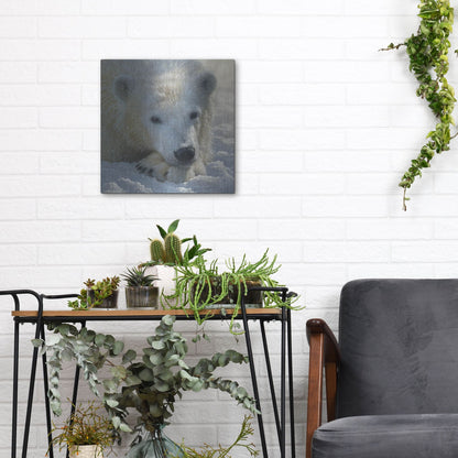 Luxe Metal Art 'Polar Bear Cub' by Collin Bogle, Metal Wall Art,12x12