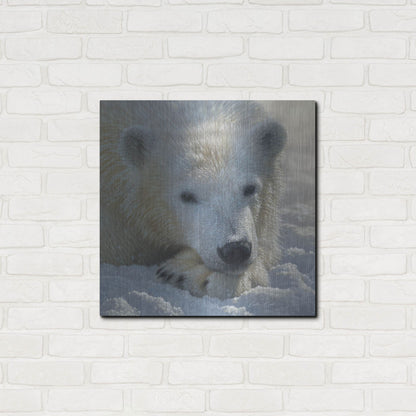 Luxe Metal Art 'Polar Bear Cub' by Collin Bogle, Metal Wall Art,24x24