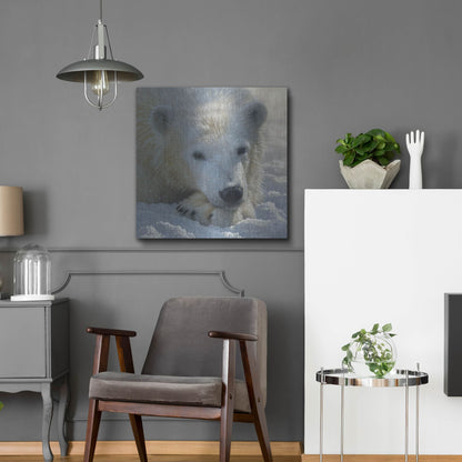 Luxe Metal Art 'Polar Bear Cub' by Collin Bogle, Metal Wall Art,24x24