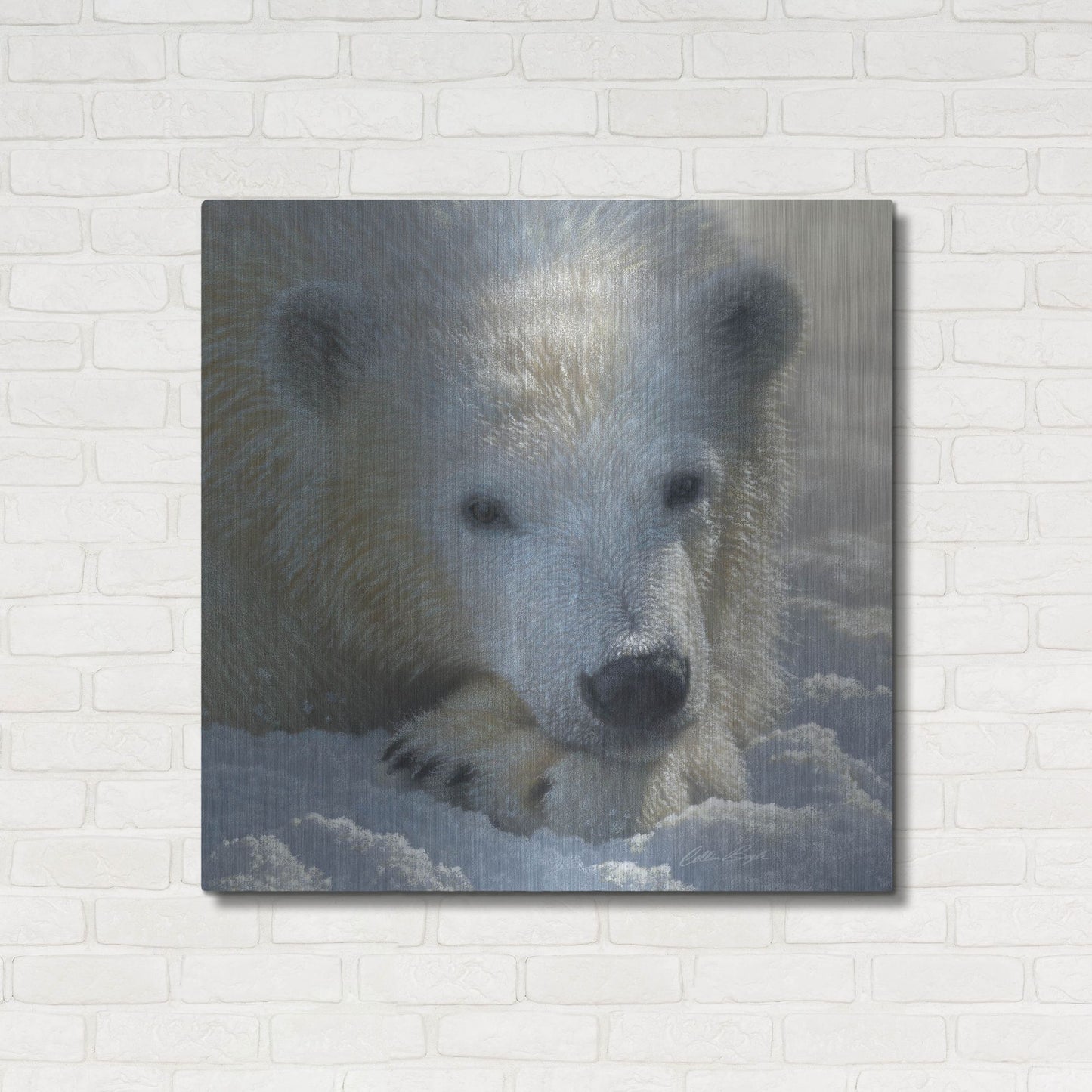 Luxe Metal Art 'Polar Bear Cub' by Collin Bogle, Metal Wall Art,36x36
