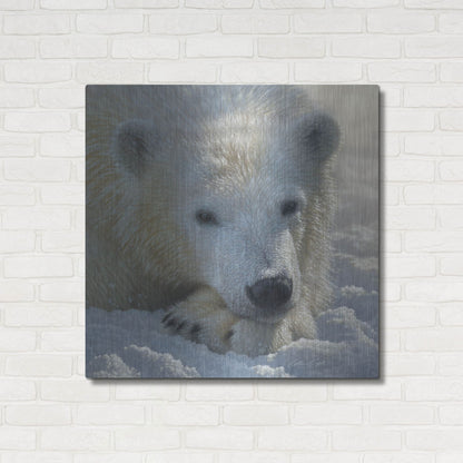 Luxe Metal Art 'Polar Bear Cub' by Collin Bogle, Metal Wall Art,36x36