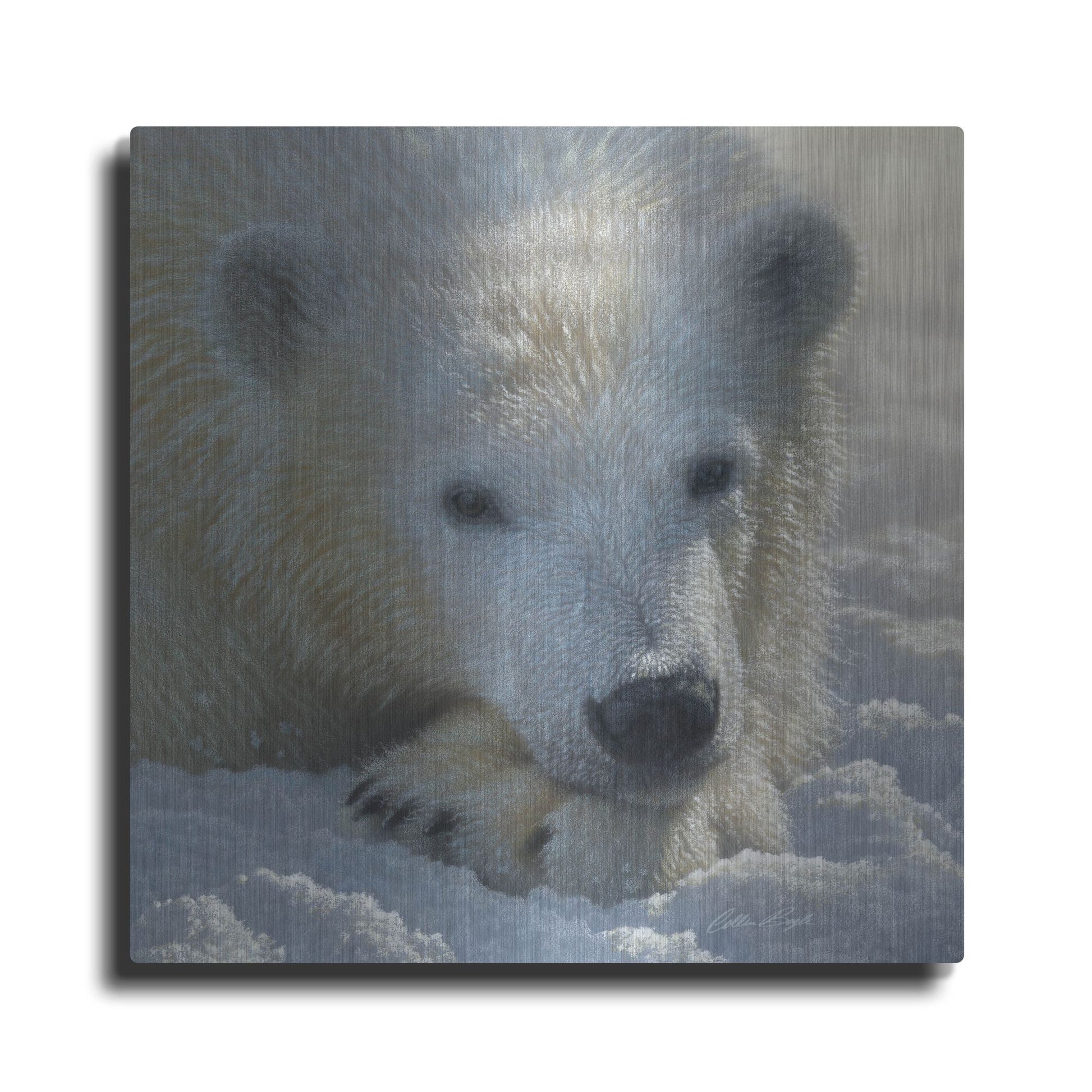 Luxe Metal Art 'Polar Bear Cub' by Collin Bogle, Metal Wall Art