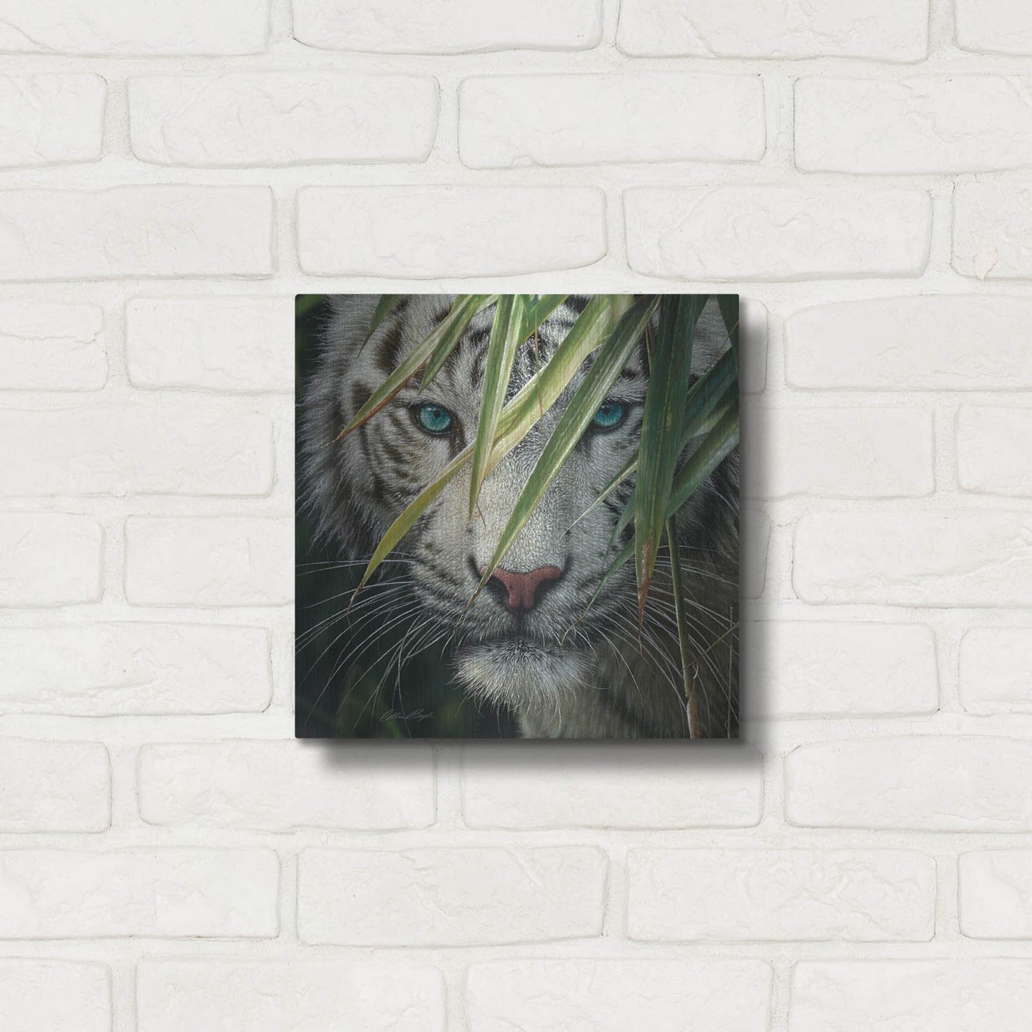 Luxe Metal Art 'Watching and Waiting' by Collin Bogle, Metal Wall Art,12x12