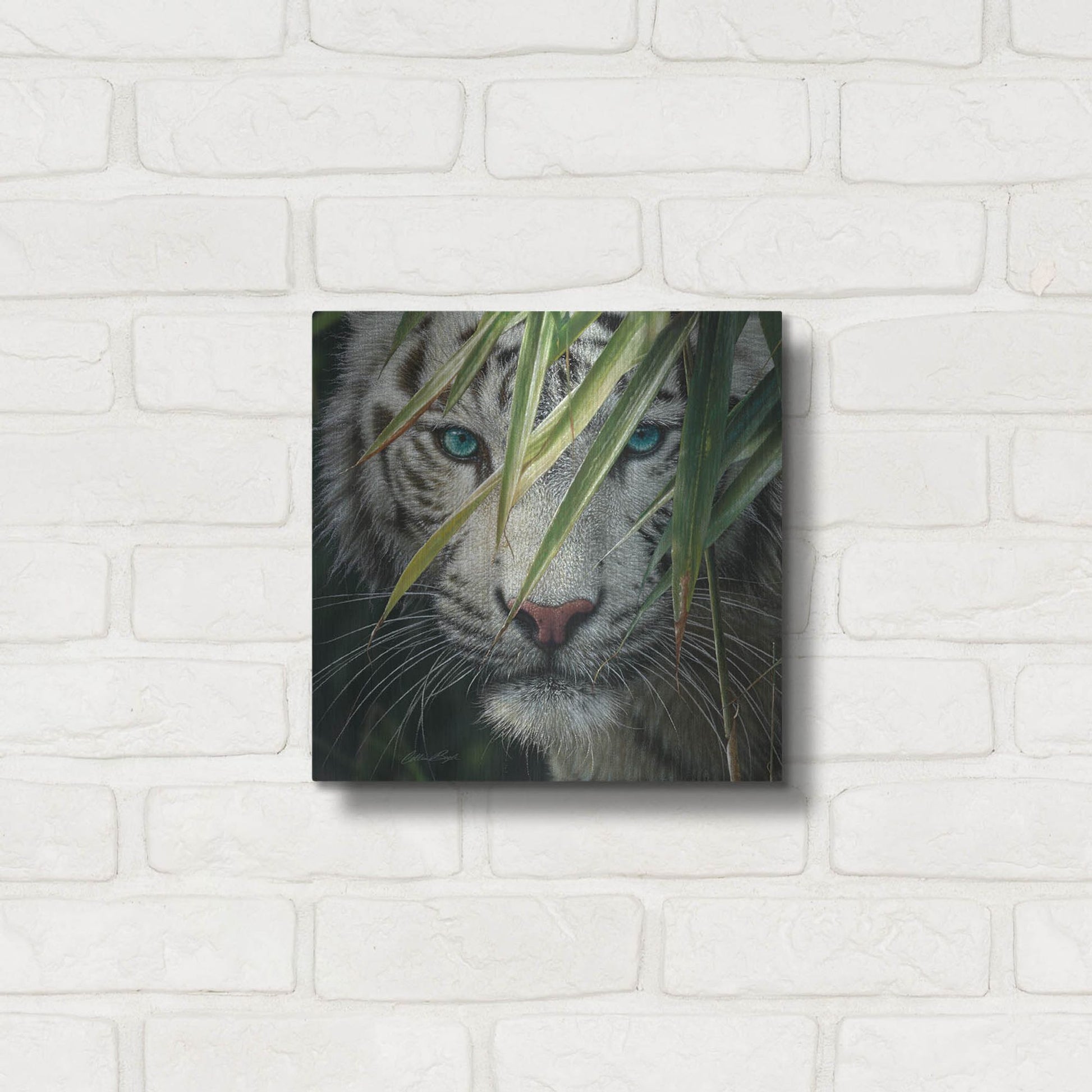 Luxe Metal Art 'Watching and Waiting' by Collin Bogle, Metal Wall Art,12x12