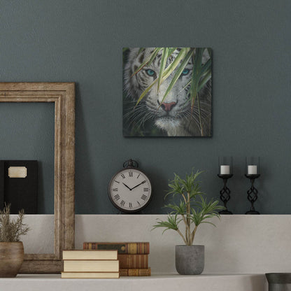 Luxe Metal Art 'Watching and Waiting' by Collin Bogle, Metal Wall Art,12x12