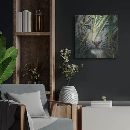 Luxe Metal Art 'Watching and Waiting' by Collin Bogle, Metal Wall Art,24x24