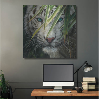 Luxe Metal Art 'Watching and Waiting' by Collin Bogle, Metal Wall Art,36x36