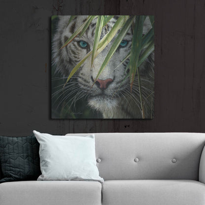 Luxe Metal Art 'Watching and Waiting' by Collin Bogle, Metal Wall Art,36x36