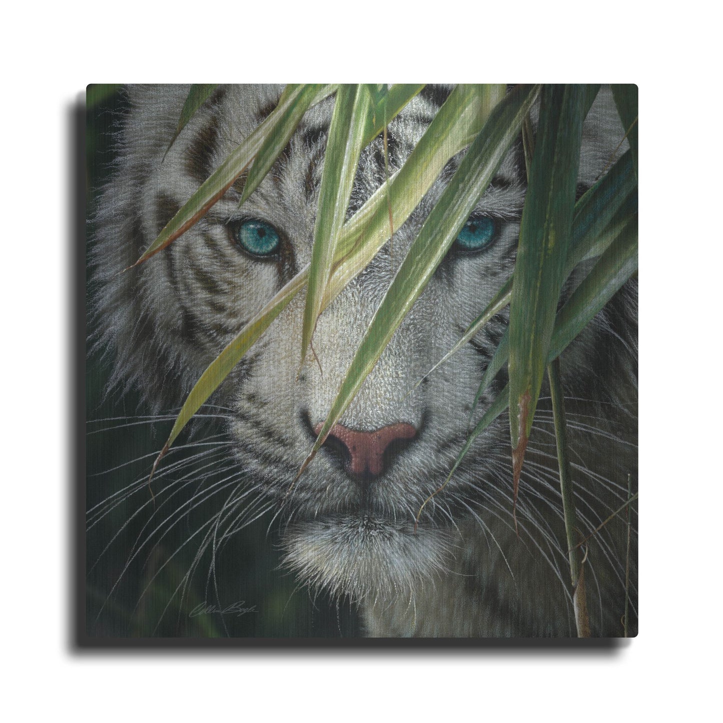 Luxe Metal Art 'Watching and Waiting' by Collin Bogle, Metal Wall Art