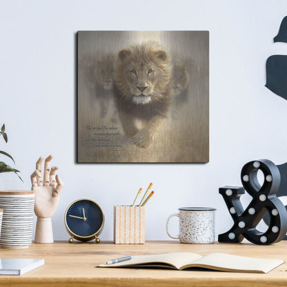 Luxe Metal Art 'Wicked Flee' by Collin Bogle, Metal Wall Art,12x12