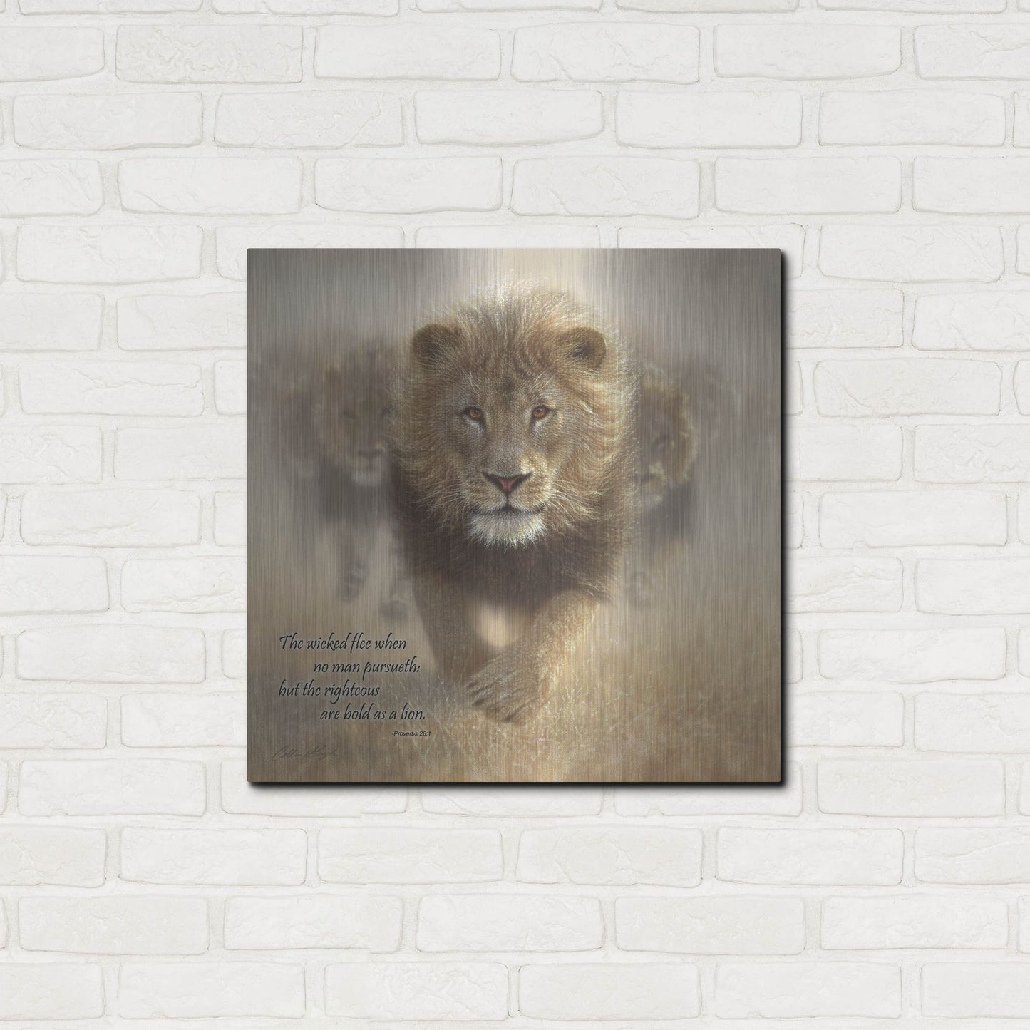 Luxe Metal Art 'Wicked Flee' by Collin Bogle, Metal Wall Art,24x24