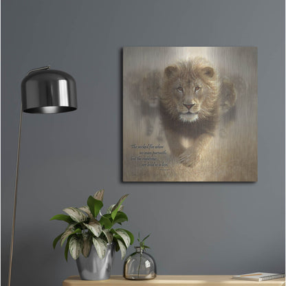 Luxe Metal Art 'Wicked Flee' by Collin Bogle, Metal Wall Art,24x24