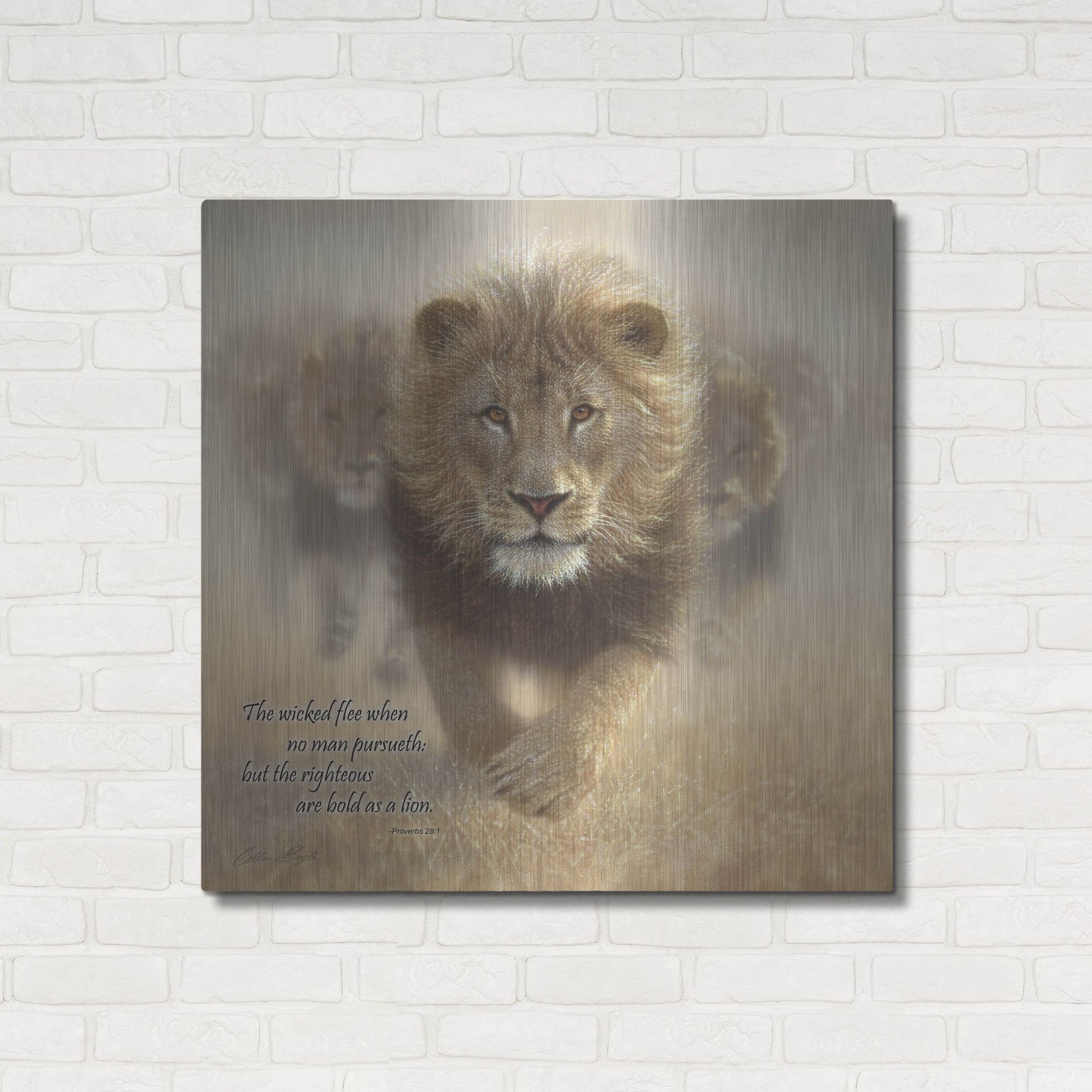 Luxe Metal Art 'Wicked Flee' by Collin Bogle, Metal Wall Art,36x36