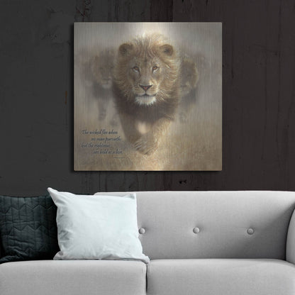 Luxe Metal Art 'Wicked Flee' by Collin Bogle, Metal Wall Art,36x36