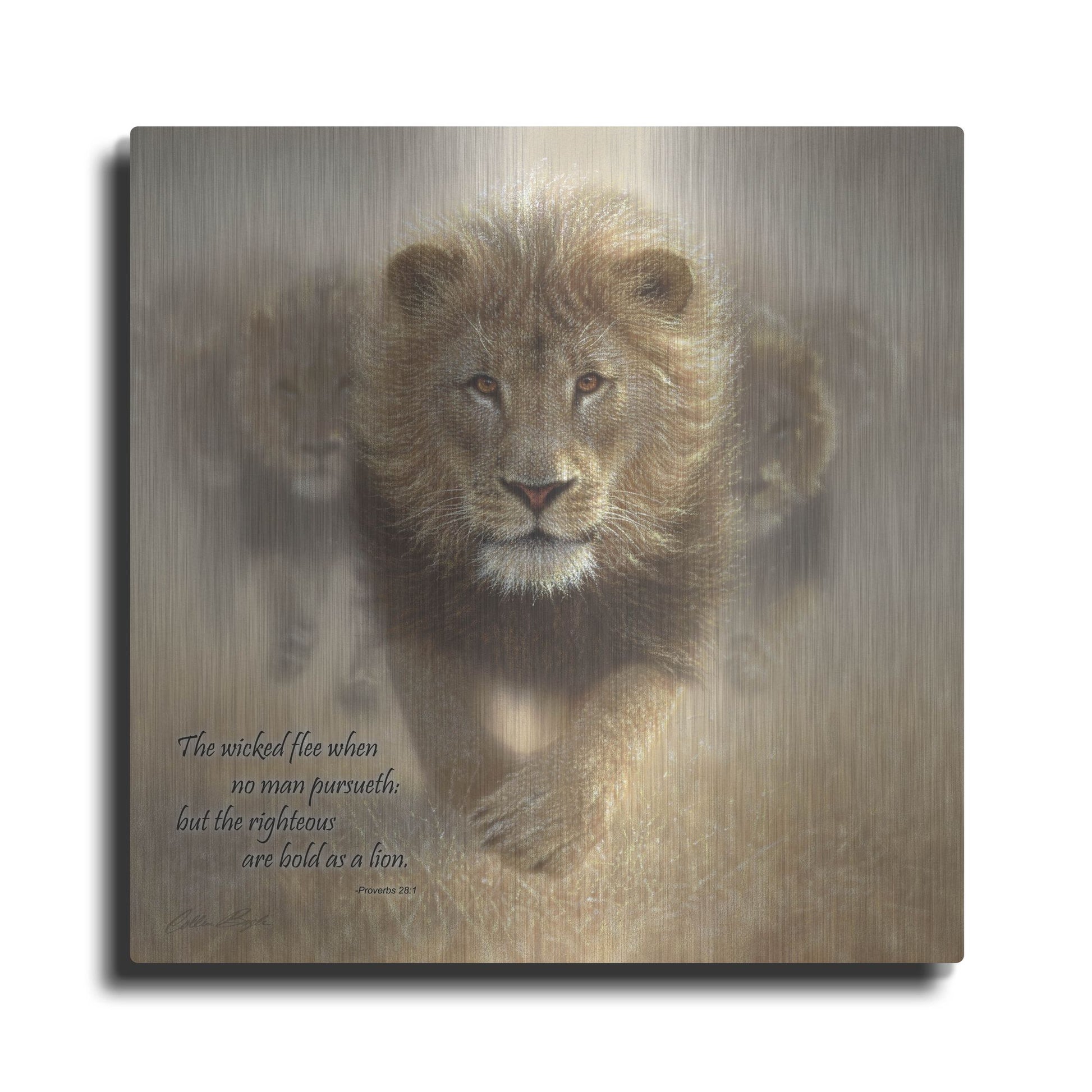 Luxe Metal Art 'Wicked Flee' by Collin Bogle, Metal Wall Art