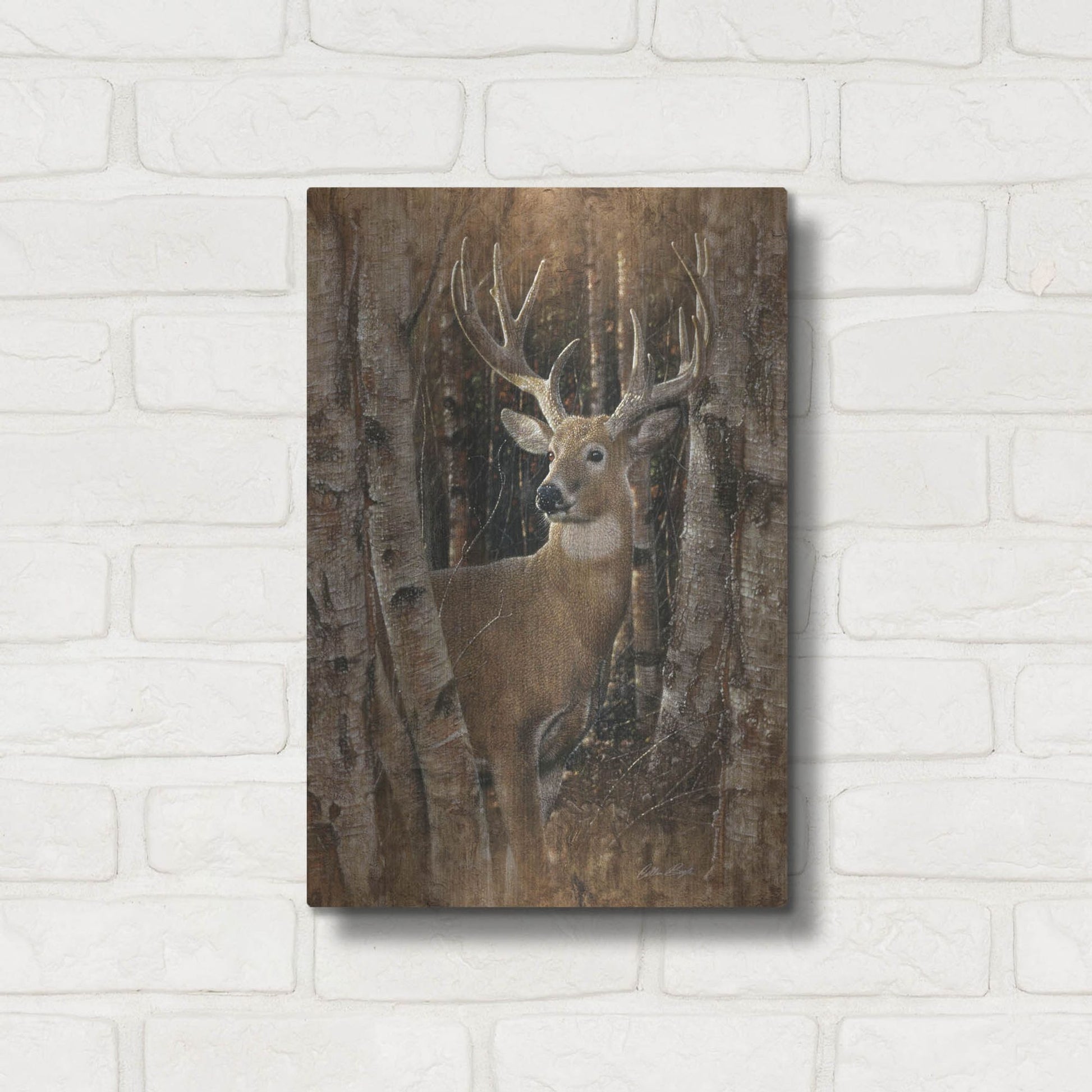 Luxe Metal Art 'Birchwood Buck' by Collin Bogle, Metal Wall Art,12x16