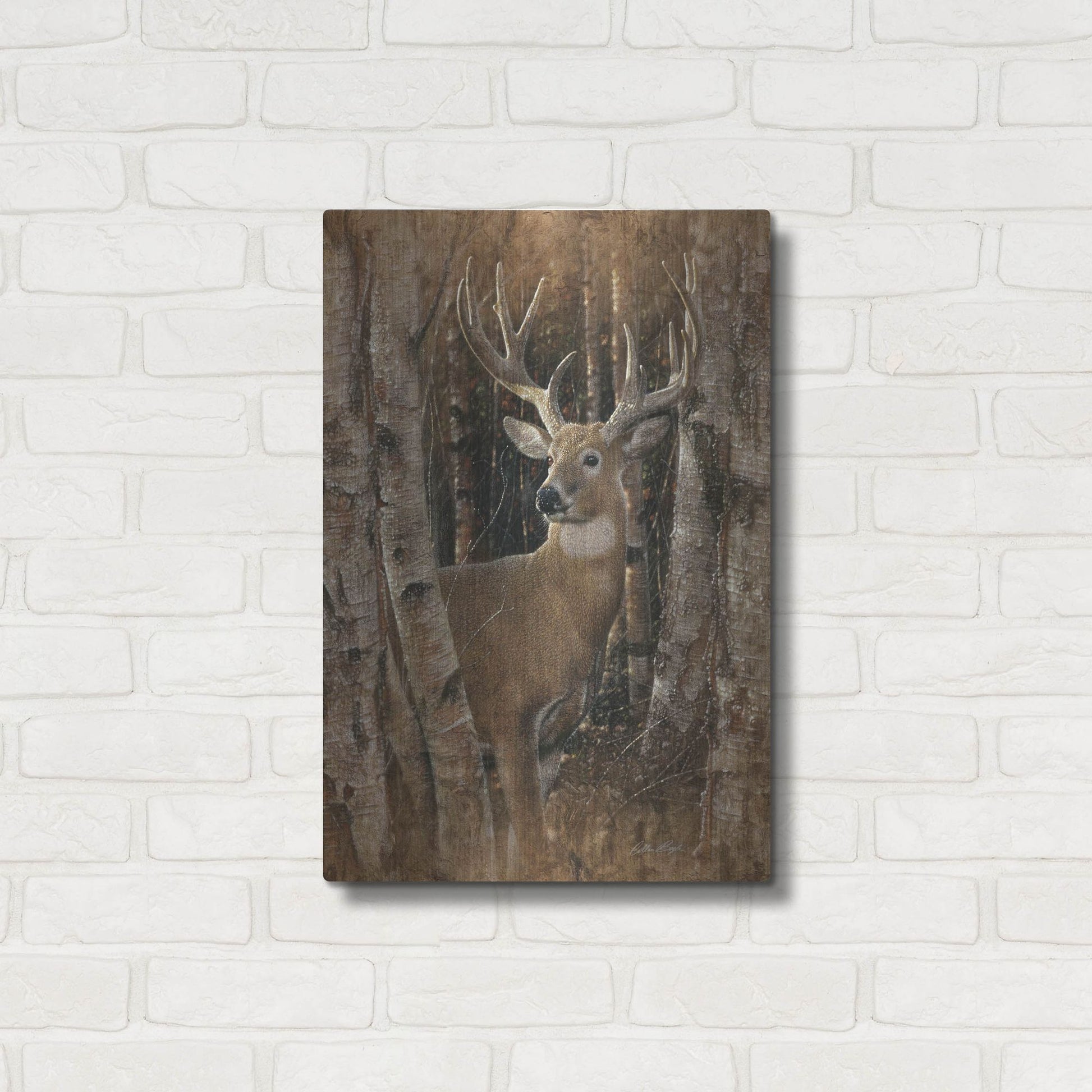 Luxe Metal Art 'Birchwood Buck' by Collin Bogle, Metal Wall Art,16x24