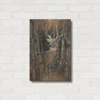 Luxe Metal Art 'Birchwood Buck' by Collin Bogle, Metal Wall Art,16x24