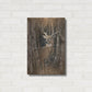 Luxe Metal Art 'Birchwood Buck' by Collin Bogle, Metal Wall Art,16x24