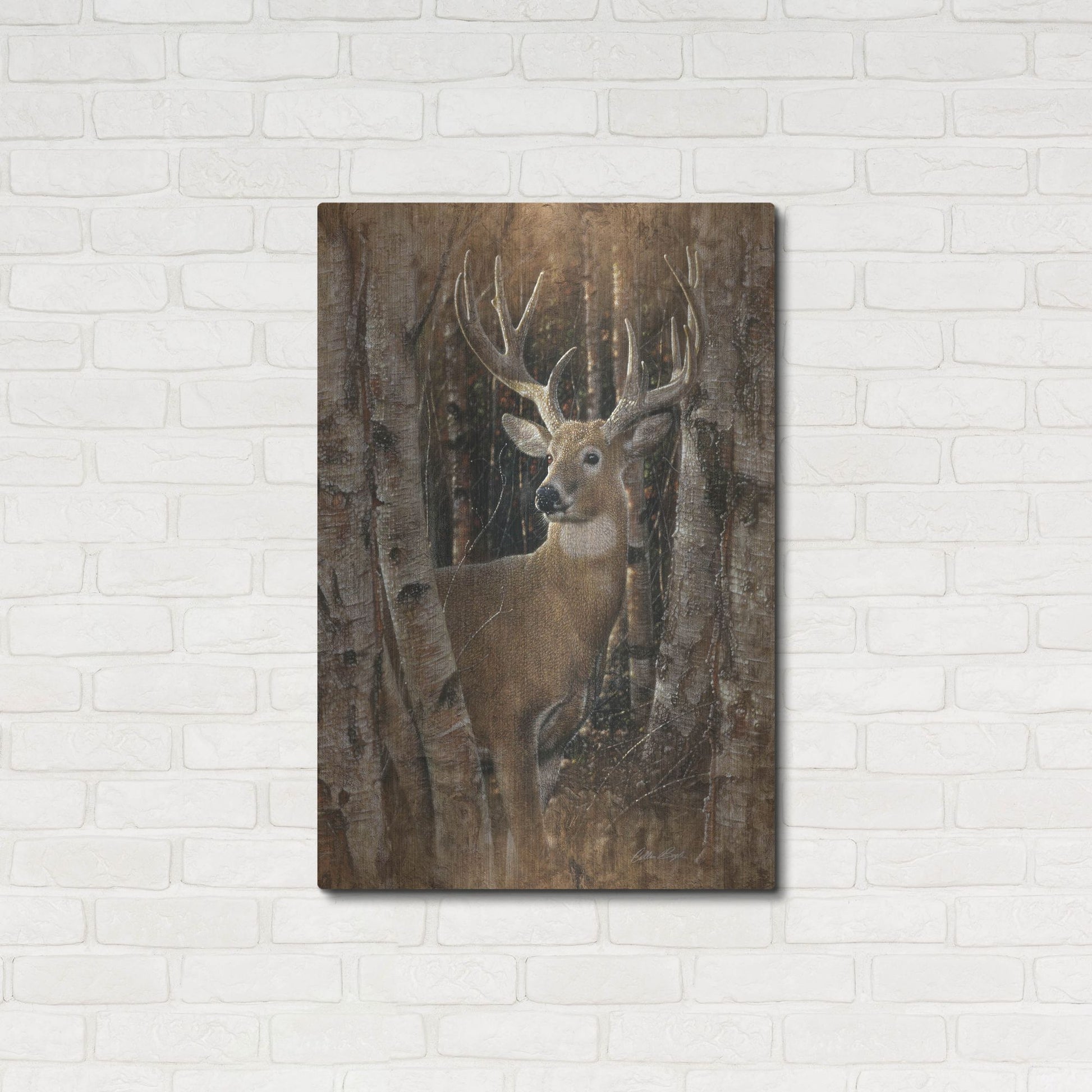 Luxe Metal Art 'Birchwood Buck' by Collin Bogle, Metal Wall Art,24x36