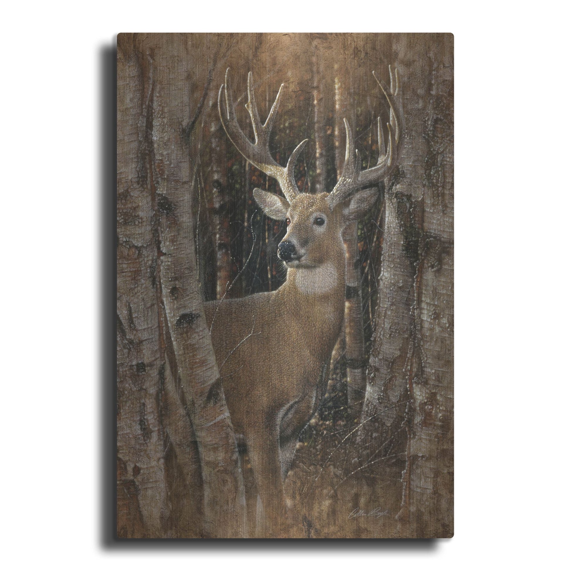 Luxe Metal Art 'Birchwood Buck' by Collin Bogle, Metal Wall Art