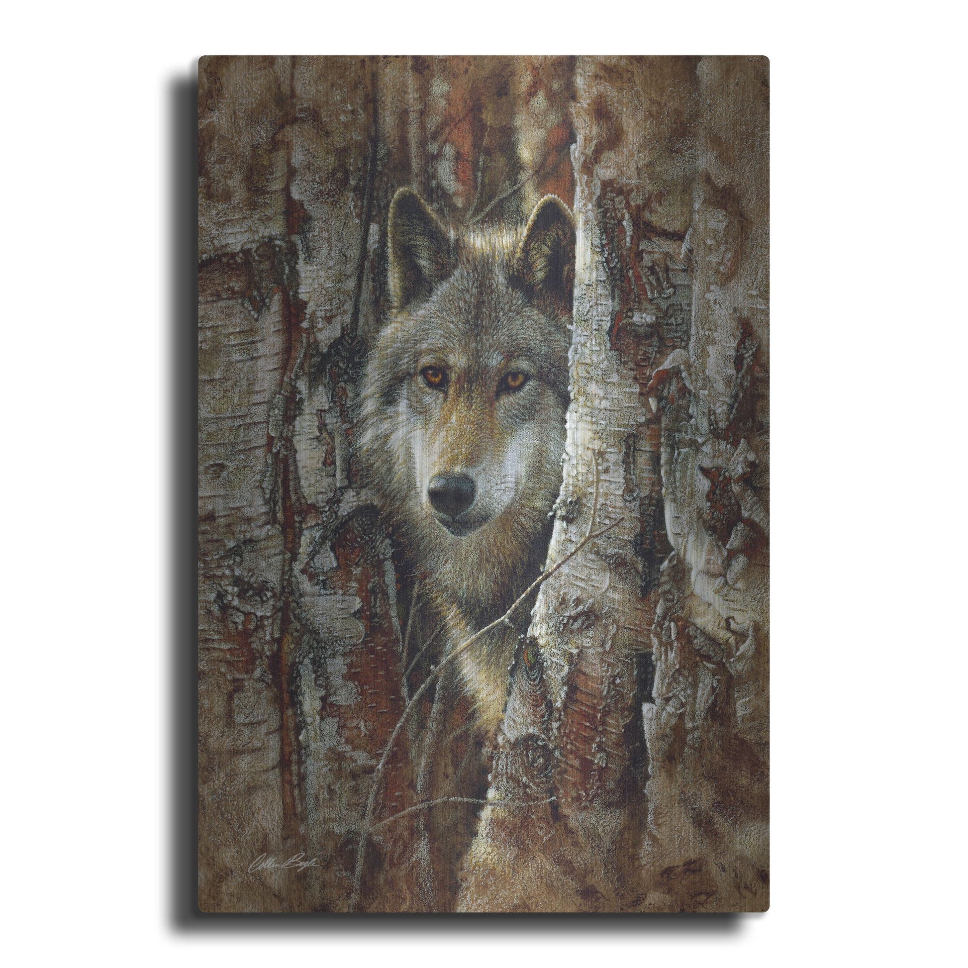 Luxe Metal Art 'Wood Land Spirit' by Collin Bogle, Metal Wall Art