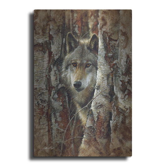 Luxe Metal Art 'Wood Land Spirit' by Collin Bogle, Metal Wall Art