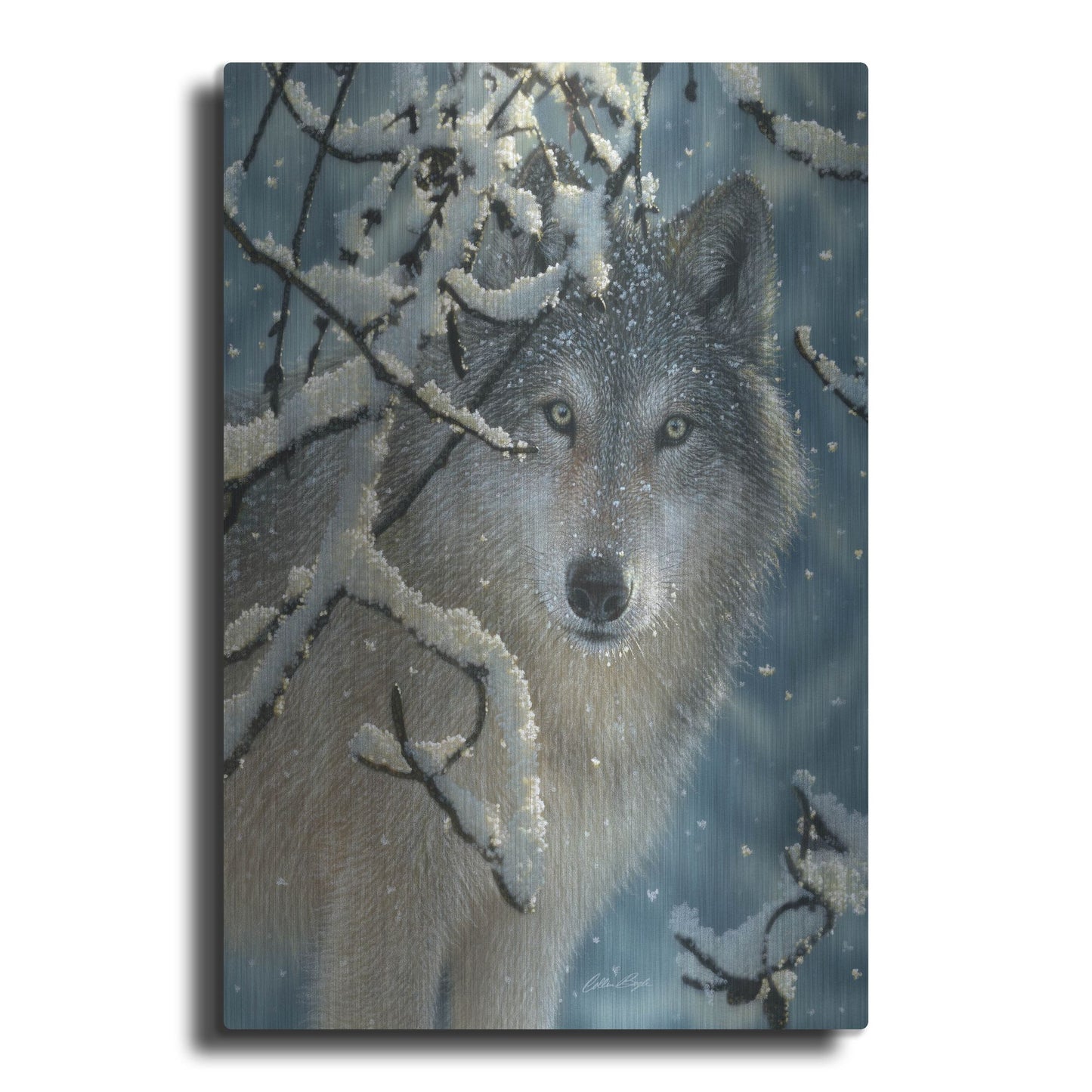 Luxe Metal Art 'Broken Silence' by Collin Bogle, Metal Wall Art