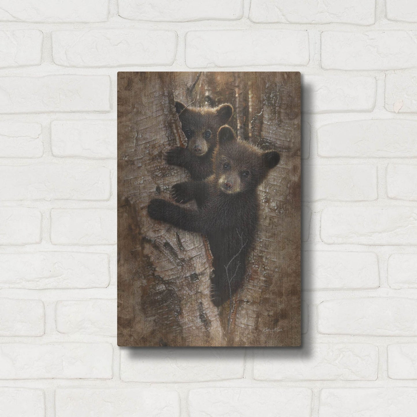 Luxe Metal Art 'Curious Cubs' by Collin Bogle, Metal Wall Art,12x16