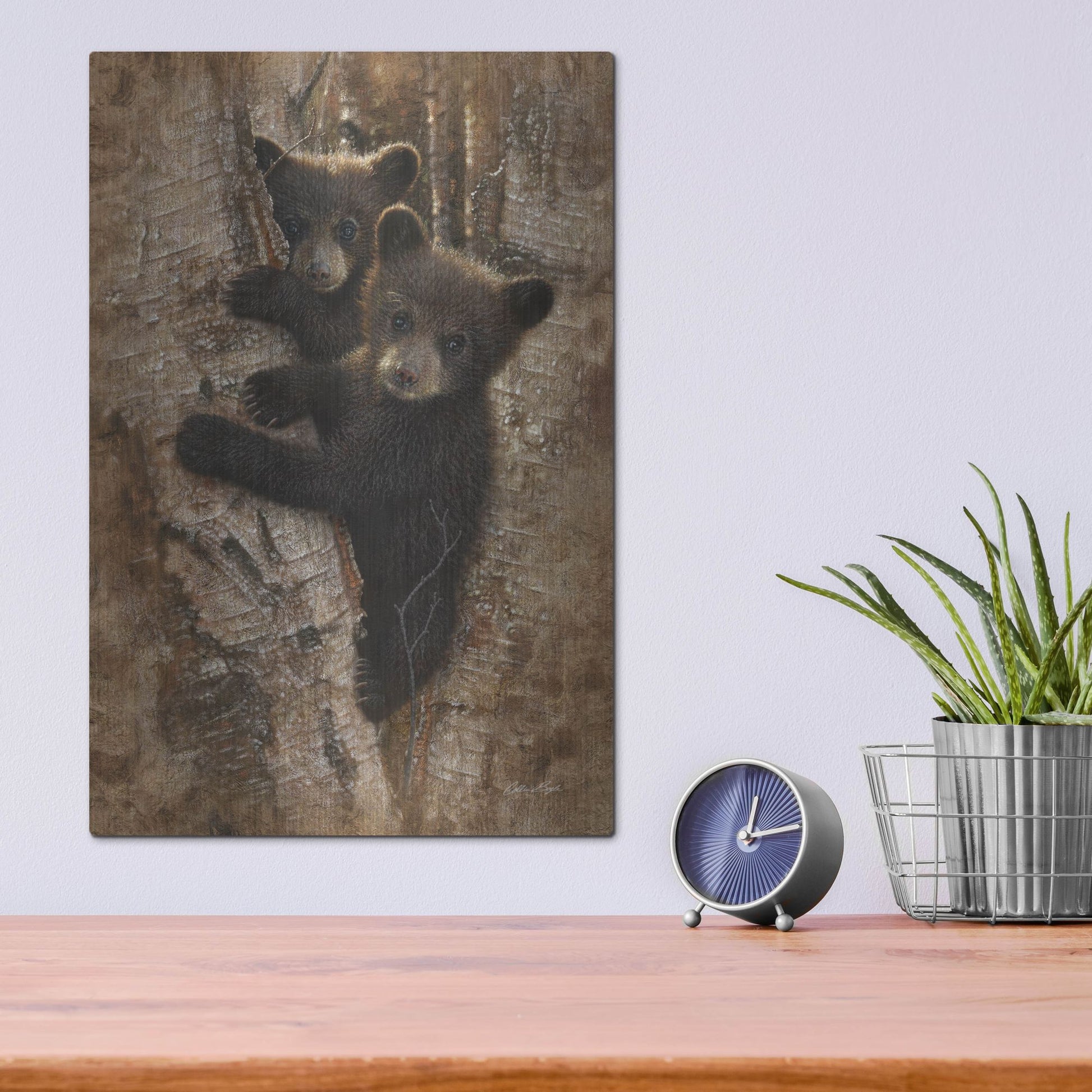 Luxe Metal Art 'Curious Cubs' by Collin Bogle, Metal Wall Art,12x16