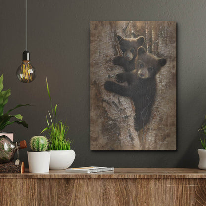 Luxe Metal Art 'Curious Cubs' by Collin Bogle, Metal Wall Art,12x16