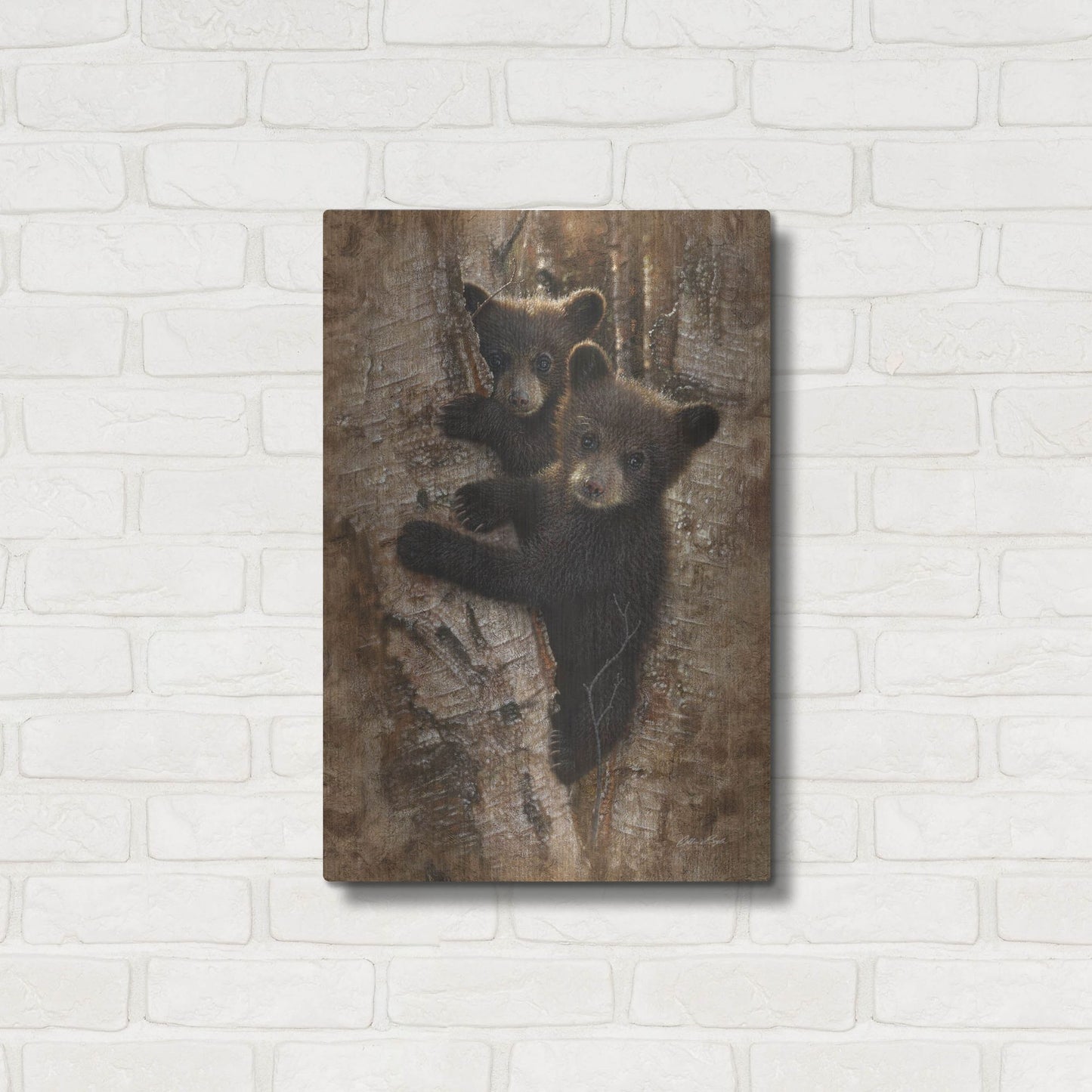 Luxe Metal Art 'Curious Cubs' by Collin Bogle, Metal Wall Art,16x24