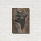 Luxe Metal Art 'Curious Cubs' by Collin Bogle, Metal Wall Art,16x24