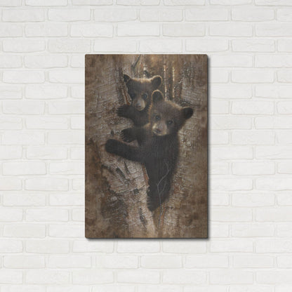 Luxe Metal Art 'Curious Cubs' by Collin Bogle, Metal Wall Art,24x36