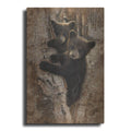 Luxe Metal Art 'Curious Cubs' by Collin Bogle, Metal Wall Art