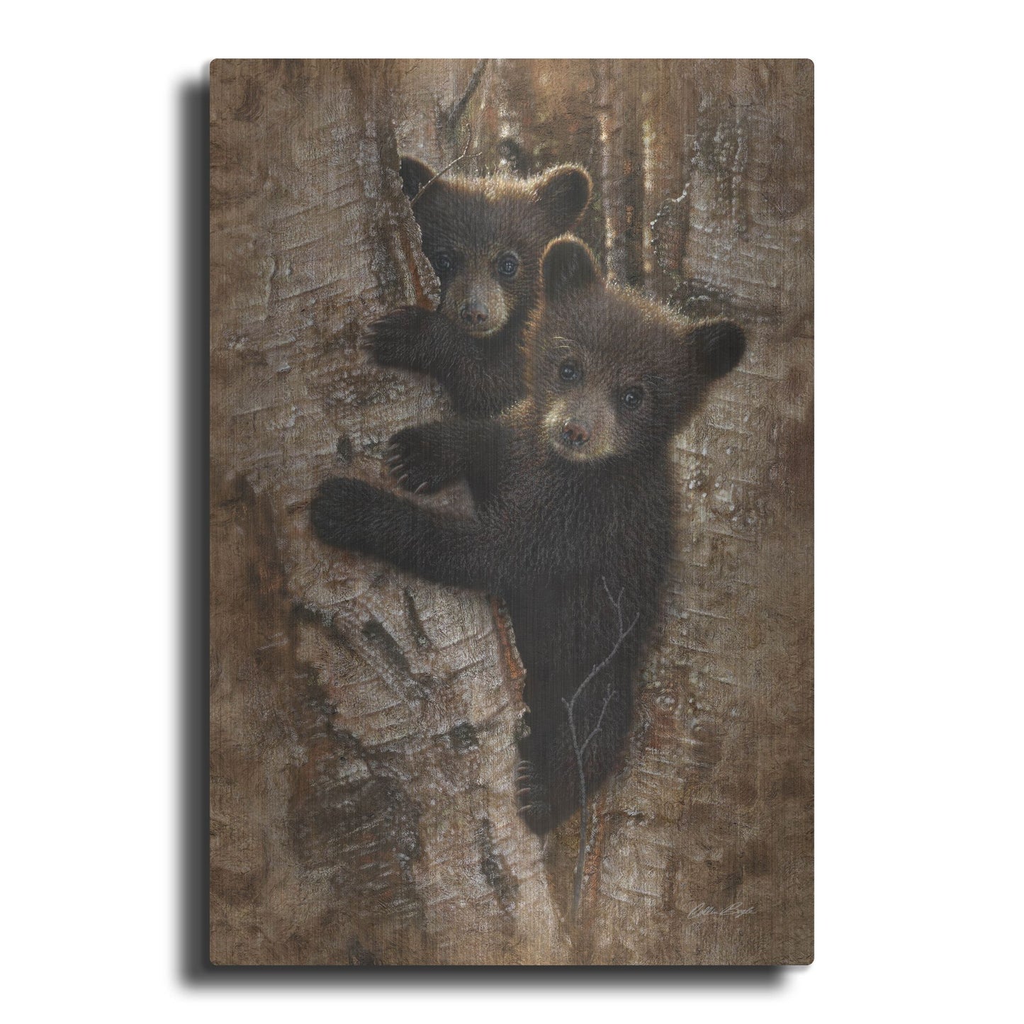 Luxe Metal Art 'Curious Cubs' by Collin Bogle, Metal Wall Art