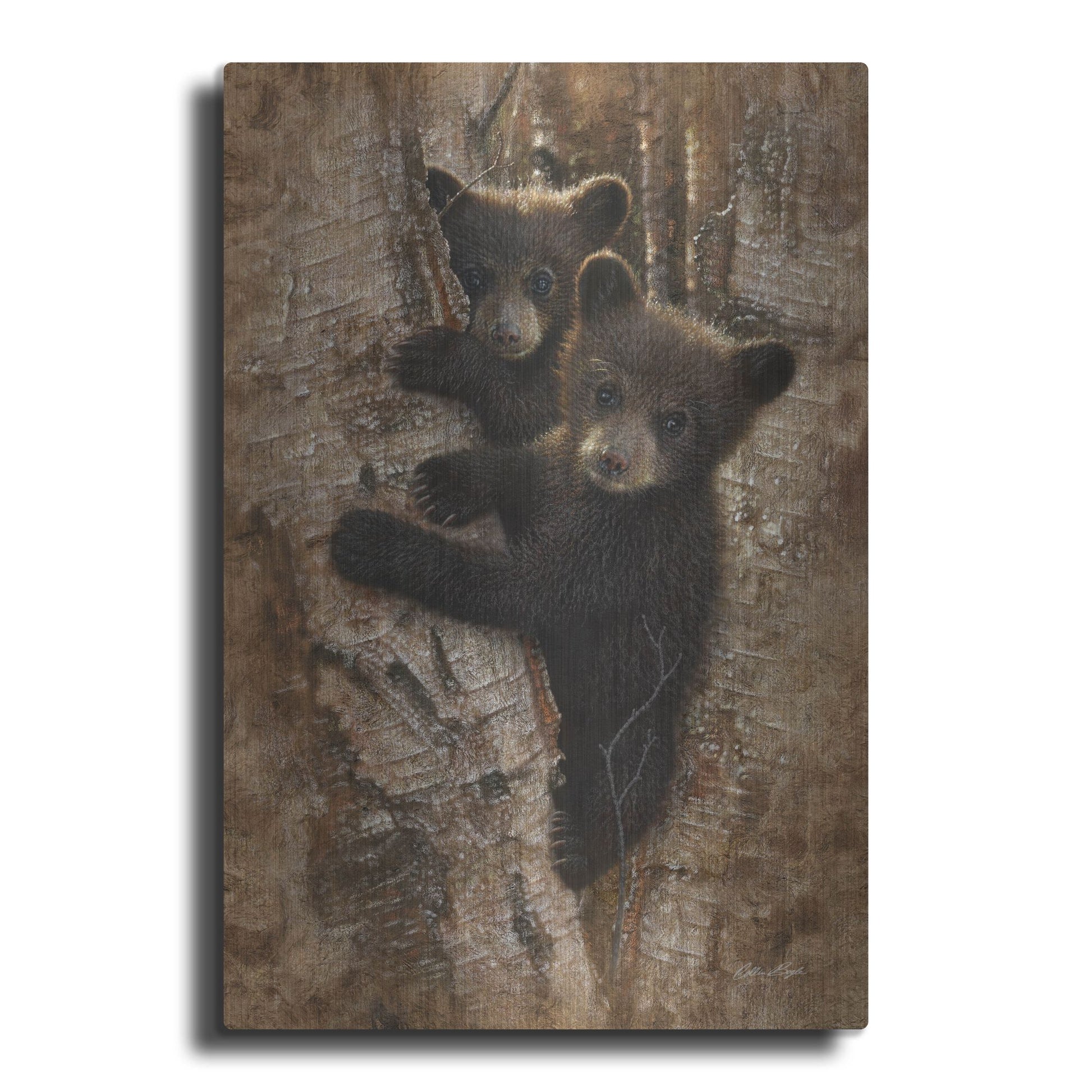 Luxe Metal Art 'Curious Cubs' by Collin Bogle, Metal Wall Art