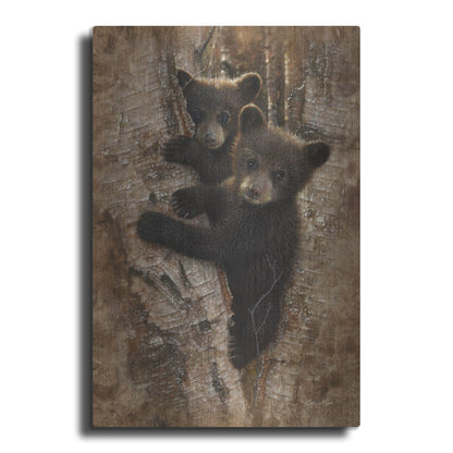 Luxe Metal Art 'Curious Cubs' by Collin Bogle, Metal Wall Art