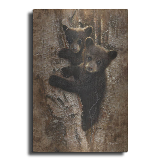 Luxe Metal Art 'Curious Cubs' by Collin Bogle, Metal Wall Art
