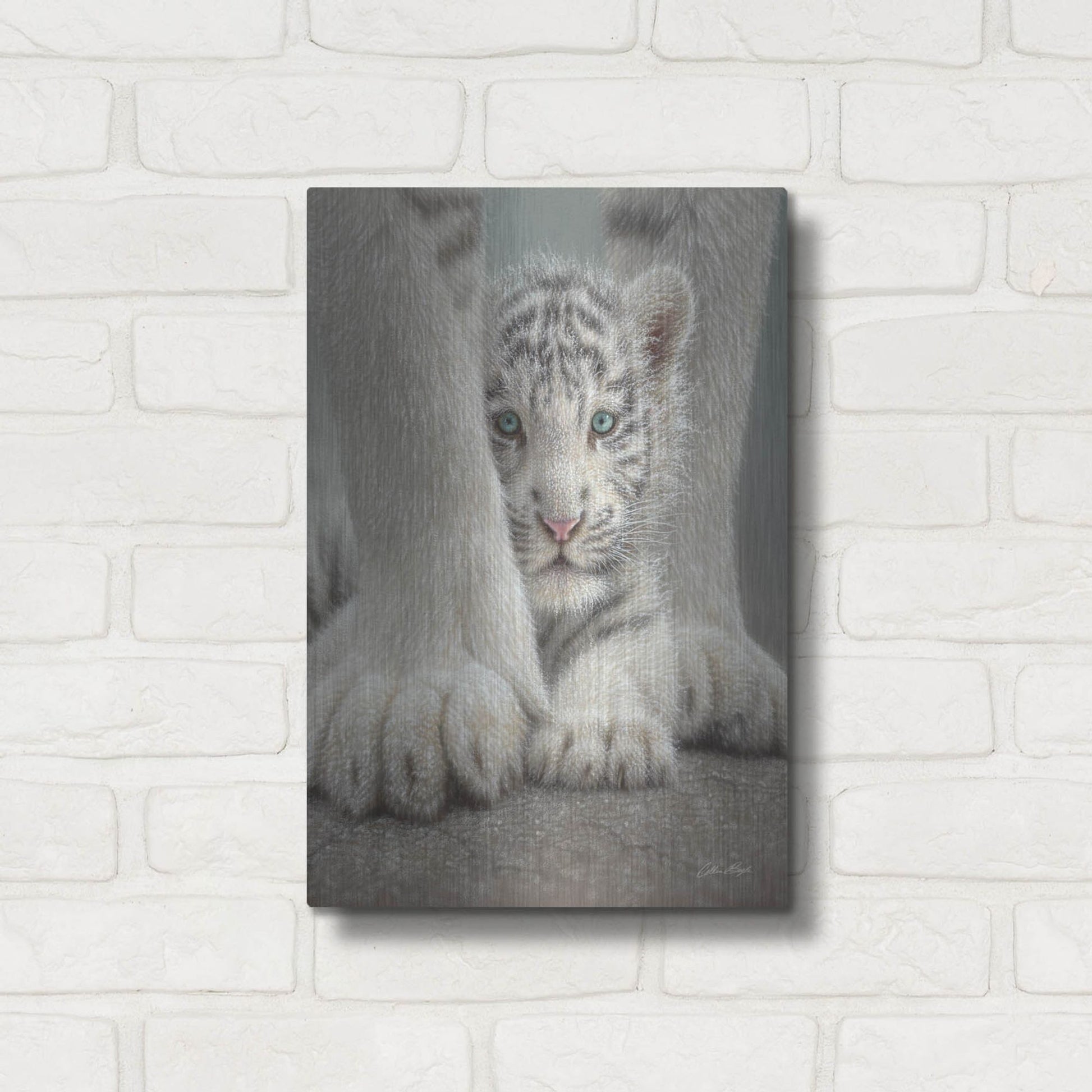 Luxe Metal Art 'Sheltered' by Collin Bogle, Metal Wall Art,12x16