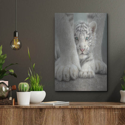 Luxe Metal Art 'Sheltered' by Collin Bogle, Metal Wall Art,12x16