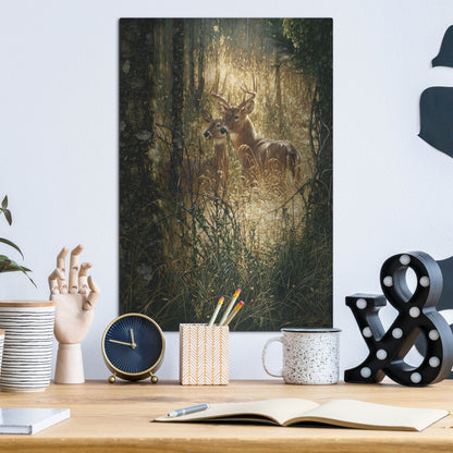 Luxe Metal Art 'A Golden Moment Portrait' by Collin Bogle, Metal Wall Art,12x16