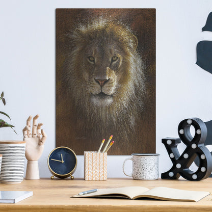 Luxe Metal Art 'Face Off' by Collin Bogle, Metal Wall Art,12x16