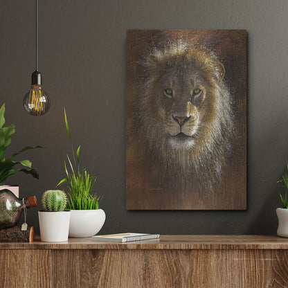 Luxe Metal Art 'Face Off' by Collin Bogle, Metal Wall Art,12x16