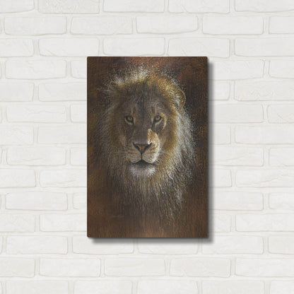 Luxe Metal Art 'Face Off' by Collin Bogle, Metal Wall Art,16x24