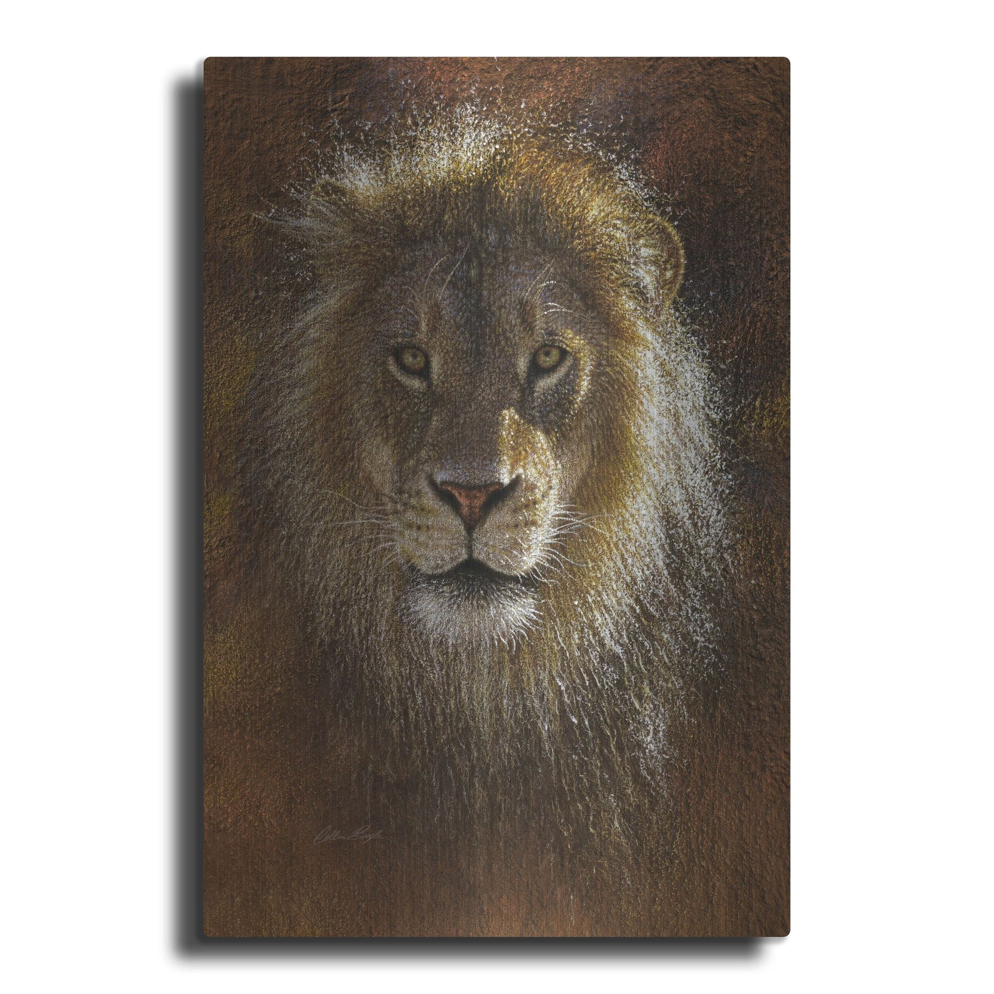 Luxe Metal Art 'Face Off' by Collin Bogle, Metal Wall Art