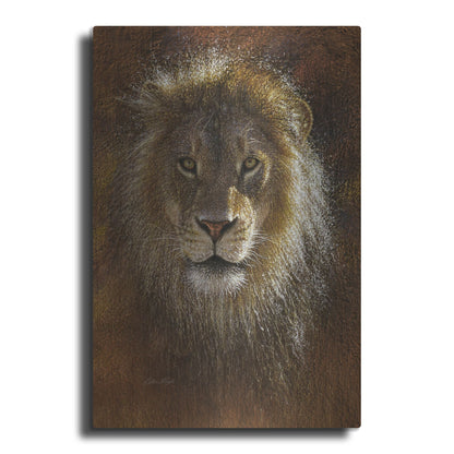 Luxe Metal Art 'Face Off' by Collin Bogle, Metal Wall Art