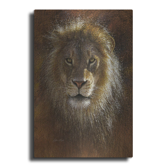 Luxe Metal Art 'Face Off' by Collin Bogle, Metal Wall Art