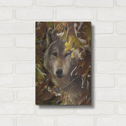 Luxe Metal Art 'Autumn Shadows' by Collin Bogle, Metal Wall Art,12x16