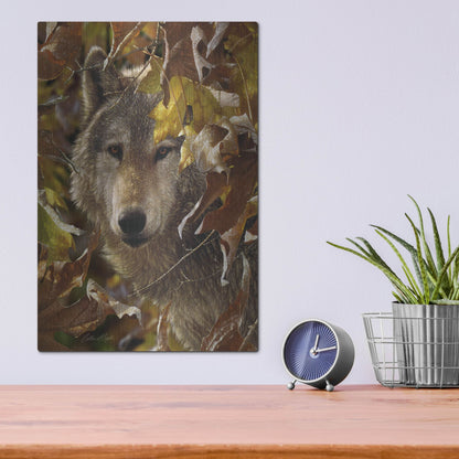 Luxe Metal Art 'Autumn Shadows' by Collin Bogle, Metal Wall Art,12x16